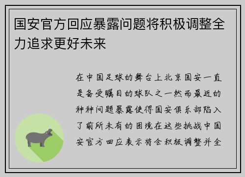 国安官方回应暴露问题将积极调整全力追求更好未来